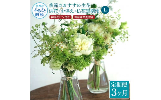 
《3ヵ月定期便》花束一対 お供え 初回花瓶付L 定期便 定期コース 全3回 初回花瓶付き 延命剤付き お供え 花束 一対 花びん 生花 仏花 供花 花束 はな 花 法要 お盆 お花 おすすめ
