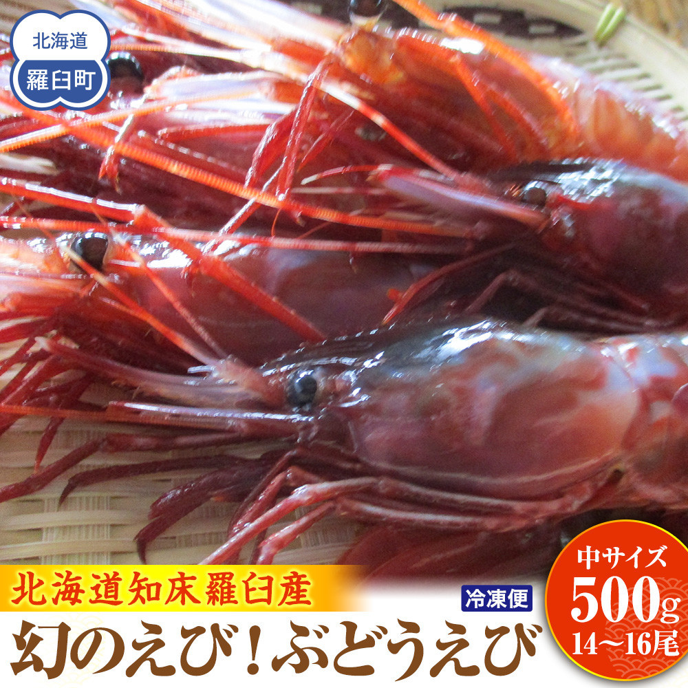 幻のぶどうえび（中・500g /14～16尾前後） エビ 海老 ブドウエビ 羅臼町 北海道 魚介類 魚介 海産物 冷凍 刺身 生産者 支援 応援