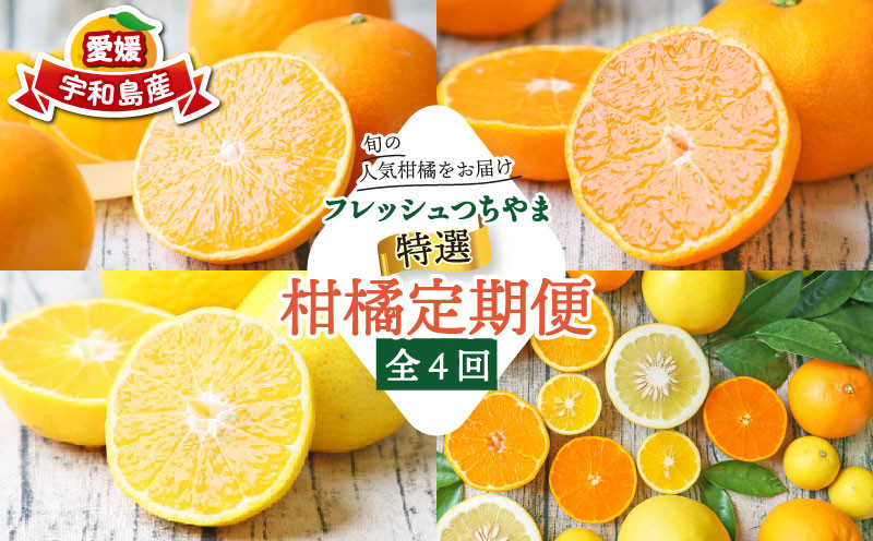 
            贈答用 柑橘定期便 全 4回 みかん定期便 特選 吉田みかん 愛果28号 媛小春 おまかせ 詰合せ 黄金柑 フレッシュつちやま 先行予約 蜜柑定期便 温州みかん 果物 くだもの フルーツ 柑橘 みかん mikan  産地直送 数量限定 国産 愛媛 宇和島 B072-096024～025
          