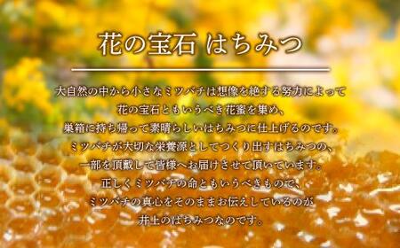 養蜂研究所が提供する「(井上養蜂) 国産 桜のはちみつ」少し強めの甘さ 芳潤な香り 蜂蜜