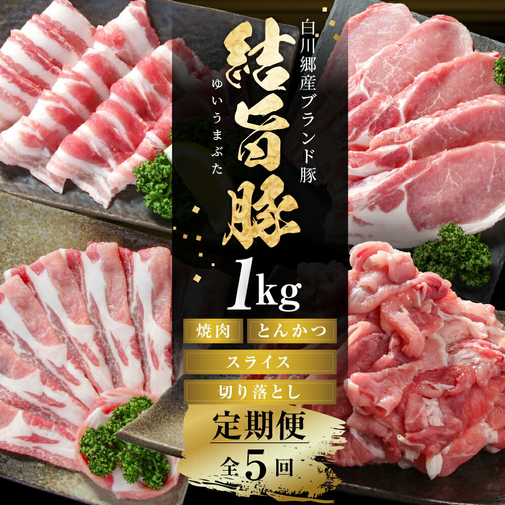 【ふるさと納税】《定期便》全5回 結旨豚（焼肉・しゃぶしゃぶ・切り落とし）1kg×5か月 冷凍真空パック | 肉 お肉 豚肉 国産 食べ比べ セット 白川郷 岐阜県 白川村 ブランド豚 人気 おすすめ ギフト 飛騨高山ミート 53000円 [MS100]