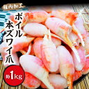 【ふるさと納税】ボイル本ズワイ爪 1kg(約40～60爪入)【配送不可地域：離島】【1285534】