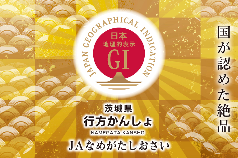 AE-24 『行方かんしょ』入り【6ヶ月定期便】JAなめがたしおさい 季節の野菜セット（毎月1回 計6回発送）