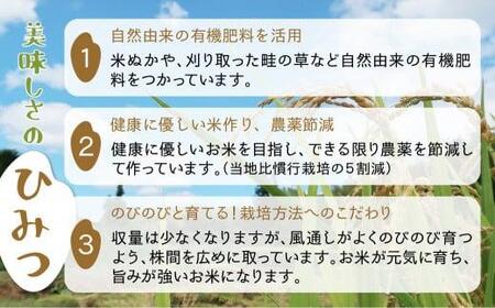 【定期便 6ヶ月】（全6回）令和7年産 新米 飛騨産コシヒカリ 「飛騨の米」  白米（玄米対応可）5kg |  飛騨産 こしひかり 精米 節減農薬米 のし対応 飛騨高山 ファームジネンいいむら GG1