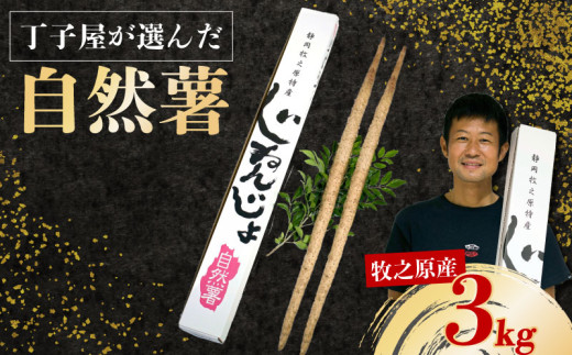 【R7年12月上旬からの発送】　丁子屋が選んだ 自然薯 台地のご馳走 3kg 新鮮 健康 長寿 とろろ 静岡県 牧之原市 ヤマゴ増田製茶