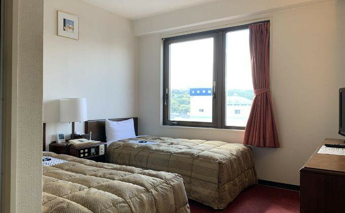 【ふるさと納税】飯能第一ホテル ツインルームタイプA(2名)宿泊券 宿泊先 チケット ビジネスホテル シングル 素泊りプラン 　お届け：発注後、2週間程度 HNNAO002