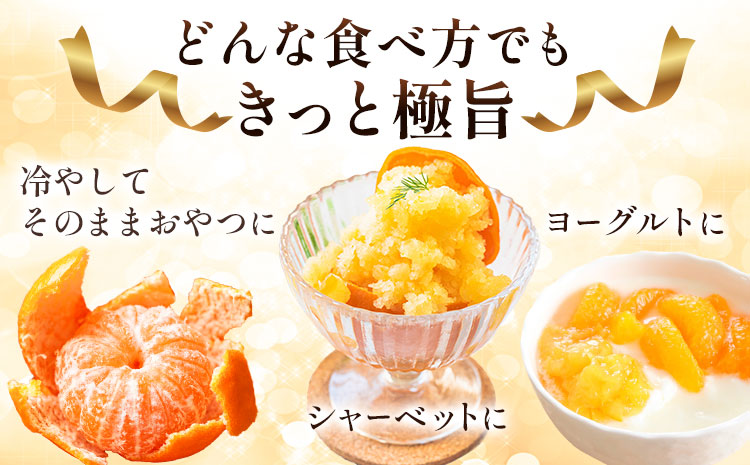 ＜先行予約＞ 熟成みかん『極旨』1箱 廣畠農園《2月初旬-2月末頃出荷予定》徳島県 佐那河内村 みかん ミカン 蜜柑 柑橘 箱入り 化粧箱 フルーツ 果物 くだもの 贈答 【配送不可地域あり】※離島-