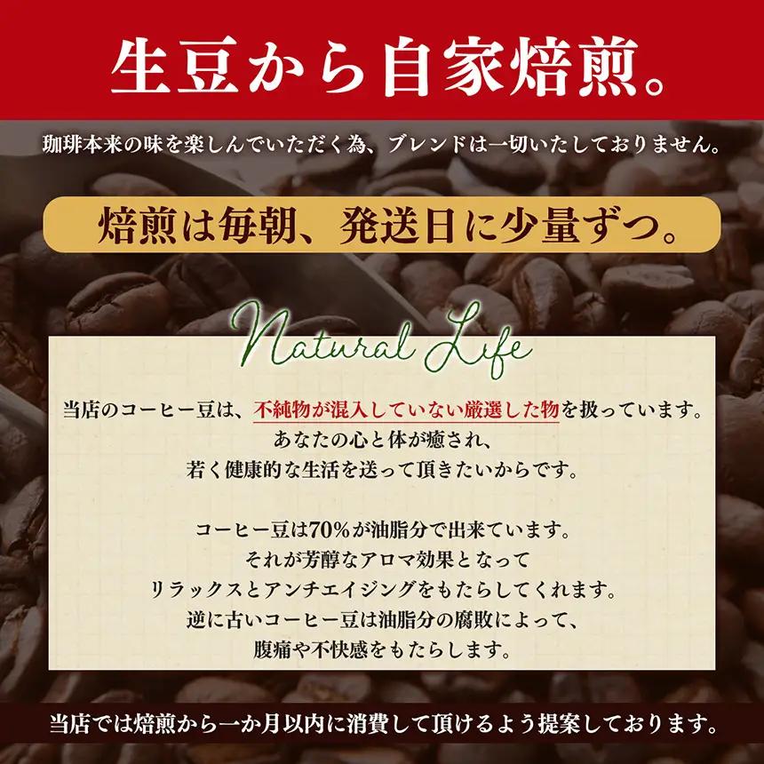 稀少 厳選 珈琲豆 トップスペシャルティーコーヒー 粗びき 200g × 2袋 | コーヒー すぎた珈琲 奈良県 平群町