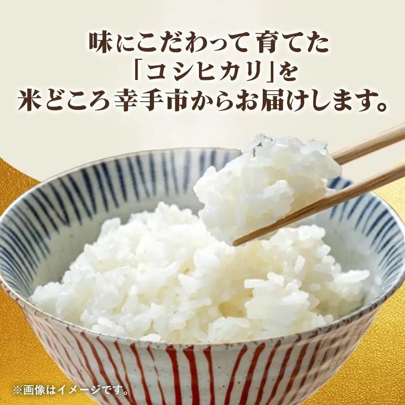 埼玉県幸手市産神扇機械化センターさんのコシヒカリ5kg - 米 精米 食味 こだわり