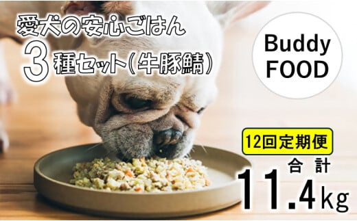 【12ヶ月定期便】完全国産・獣医師オススメの愛犬の安心ごはん【Buddy FOOD バディフード】 3種セットC（牛豚鯖） JS-314