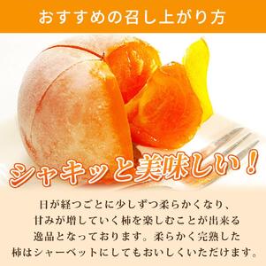 平核無柿（ひらたねなしがき）約２kg　化粧箱入　和歌山秋の味覚【2024年発送】