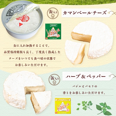 2023年7月発送開始『定期便』角谷 カマンベールチーズセット【125g×4個】全3回【配送不可地域：離島】