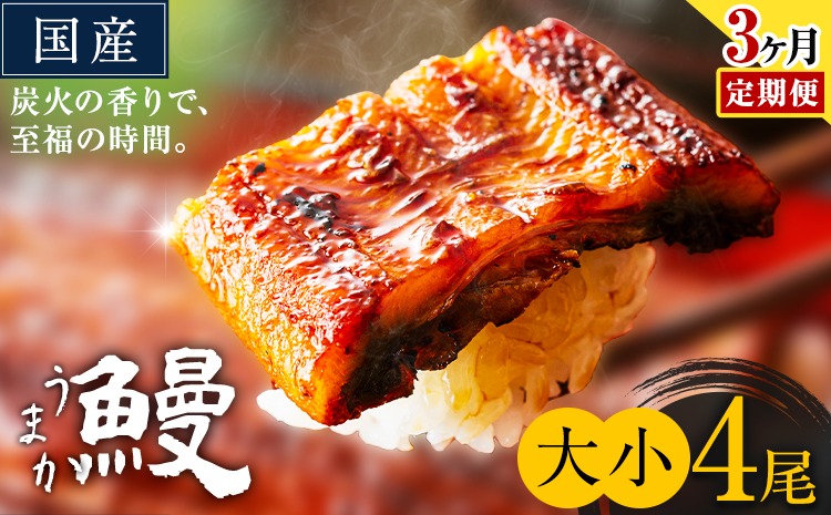 【3ヶ月定期便】うなぎ 大小 4尾  国産 鰻 真空パック おすすめ うなぎの蒲焼 《お申込み翌月から出荷》 ふるさとのうぜい 特上 簡易包装 ウナギ unagi 蒲焼 秋 冬 旬 配送時期 冷凍---mifune_lcl_1339_mo3---