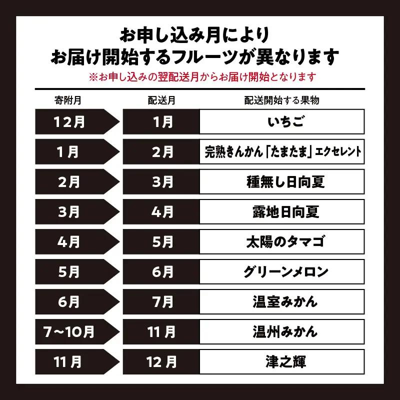 フルーツ 定期便 フルーツ [青果店厳選 くだもの 果物 Vol.3 全9回]