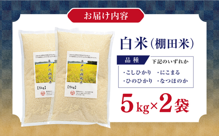 【着日指定 可能】平戸の潮風で育った新鮮米（10kg） 平戸市 / ひらど新鮮市場  [KAB320]