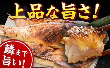 【加福鮮魚】若狭ぐじ 一汐開き 1尾 800g　甘鯛 タイ アカアマダイ 焼き魚 高級 小浜市 / 加福鮮魚【配送不可地域：北海道・沖縄・離島】  [BFBC001] 