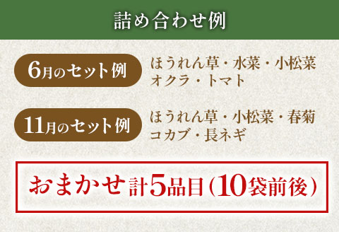 農家直送 野菜 詰め合わせ 栄ファーム