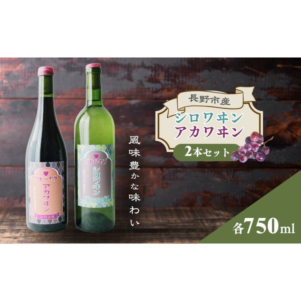 【ふるさと納税】【セット】シロワヰン・アカワヰン2本セット（白ワイン・赤ワイン）
