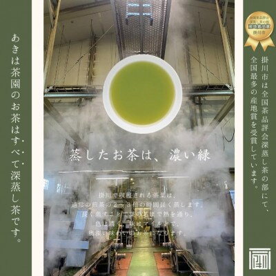 最上級煎茶「金扇」深蒸し煎茶100g×3袋セット 2025年度産【配送不可地域：離島・沖縄県】【1612220】