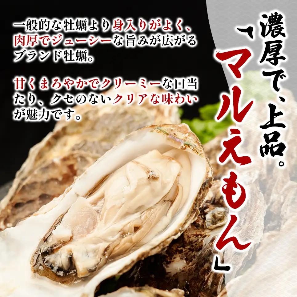 北海道 厚岸産 ブランド牡蠣 マルえもん 殻付き 牡蠣 3Lサイズ 40個 【光輝】 [ 魚貝類 生牡蠣 海鮮 海の幸 生食用牡蠣 生食用 生食用殻付き牡蠣 濃厚 甘み  オイスター ]  