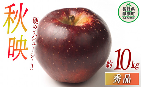 りんご 秋映 秀 10kg 光センサー選別品 ながの農業協同組合 2026年10月上旬頃から2026年10月中旬頃まで順次発送予定 令和8年度収穫分 信州 果物 フルーツ リンゴ 林檎 長野 予約 長野県 飯綱町 [0343]