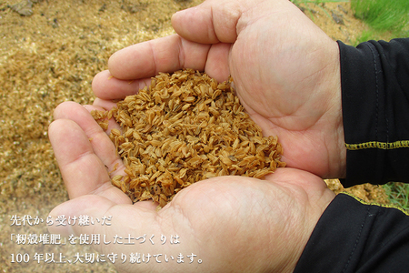 【2024年先行予約】【家庭用】幻の洋梨 ル・レクチェ2kg（5～7玉） 《11月下旬から順次発送》 果物 フルーツ  家庭用  加茂市産ル・レクチェ  梨 西洋梨 加茂市 新太郎農園
