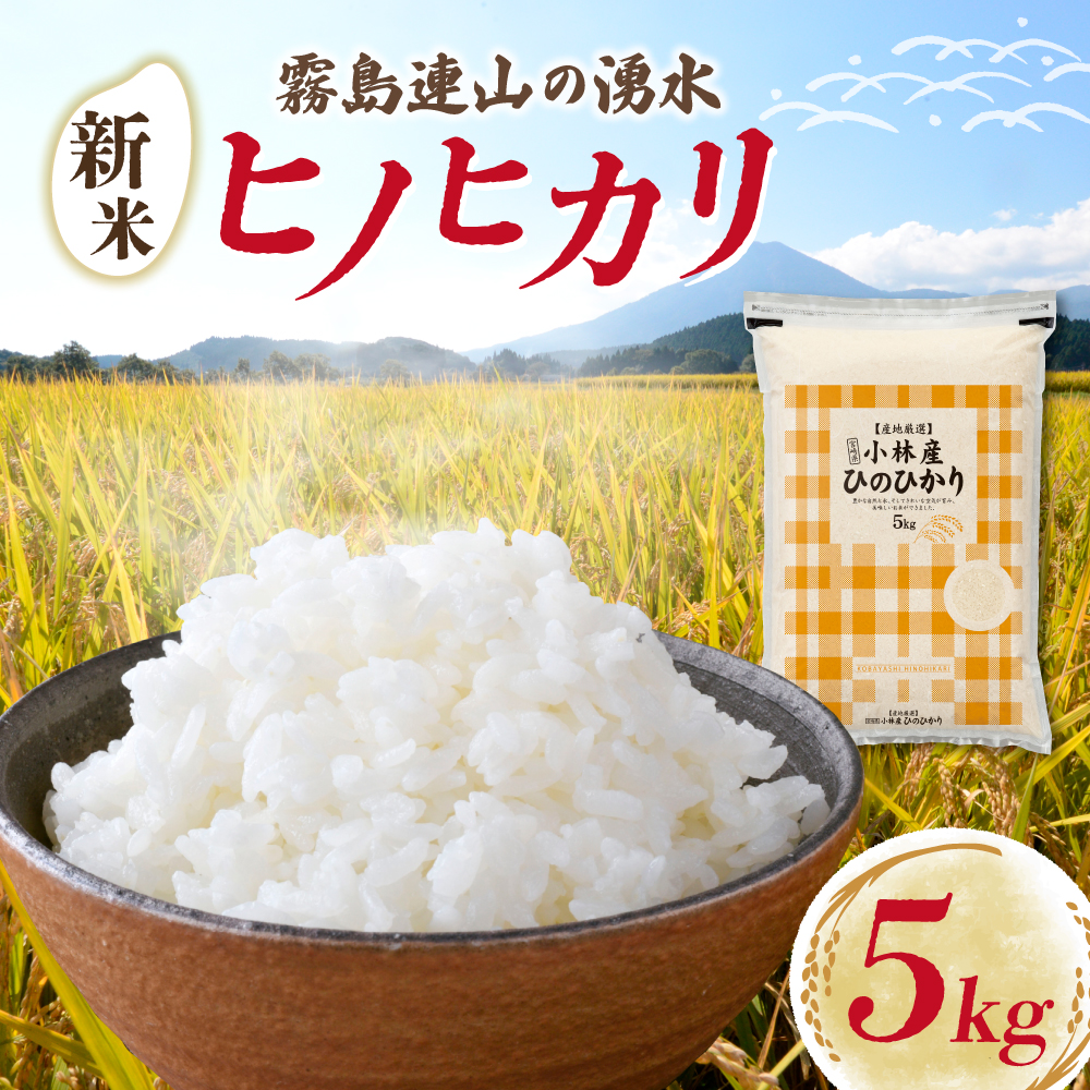 【E158】【令和7年産】ヒノヒカリ 5kg（国産 米 新米 お米 精米 令和7年新米 5kg 数量限定）
