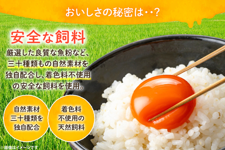 卵 太陽卵 10個入 3パック 計30個 [落水正商店 長崎県 雲仙市 item2142] たまご タマゴ 鶏卵 玉子 生卵 九州産 国産 卵焼き 玉子焼き たまご焼き