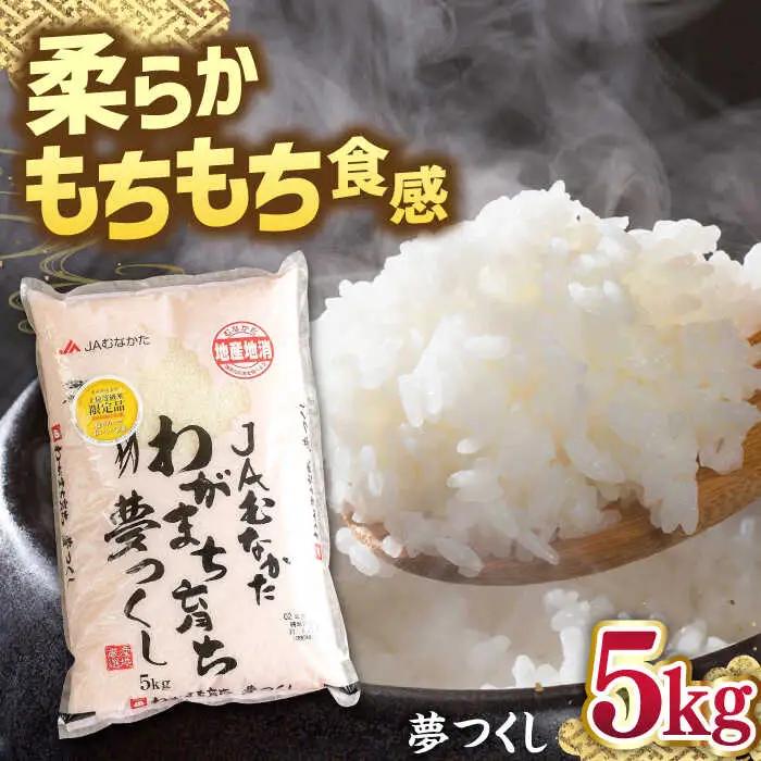 福岡産ブランド 米 夢つくし 5kg 桂川町/南国フルーツ株式会社 [ADBW028] 米 白米 5kg お米 