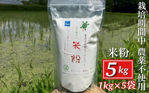 
            京都府・亀岡産 栽培期間中農薬不使用 亀岡学校給食プロジェクト 自然栽培米の米粉 5kg(1kg×5) ※離島への発送不可
          