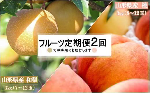 【2025年8月～9月発送】【定期便2回】山形旬の果物2選（桃/和梨）_H234(R7)