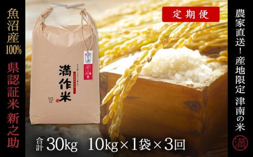 【 定期便 3ヶ月 】 米 10kg × 3回 令和7年産 新米 魚沼産 新之助 県認証米 特別栽培米 | しんのすけ お米 おこめ こめ コメ 白米 精米 おすすめ 新潟県 津南町