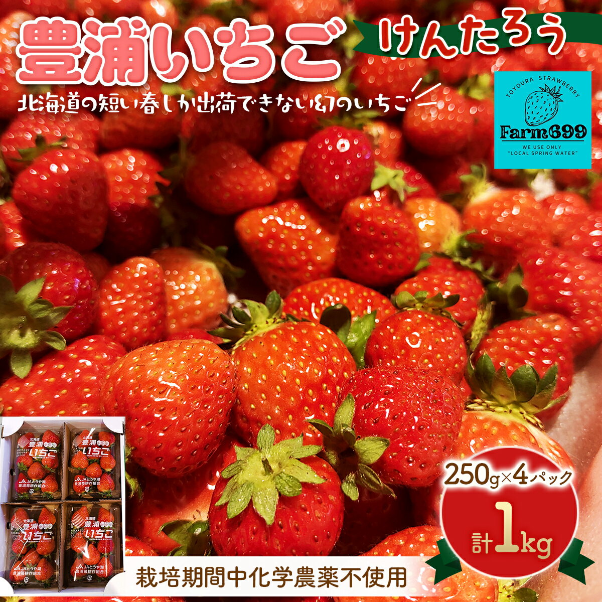 【ふるさと納税】【2026年4月下旬以降出荷】豊浦いちご 250g×4パック いちご イチゴ 苺 フルーツ 果物 くだもの 北海道 豊浦町 送料無料