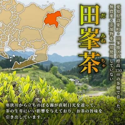 ふるさと納税 設楽町 栽培期間中農薬不使用 香り豊かな田峯のほうじ茶 100g×3袋セット お茶 ほうじ茶 |  | 01