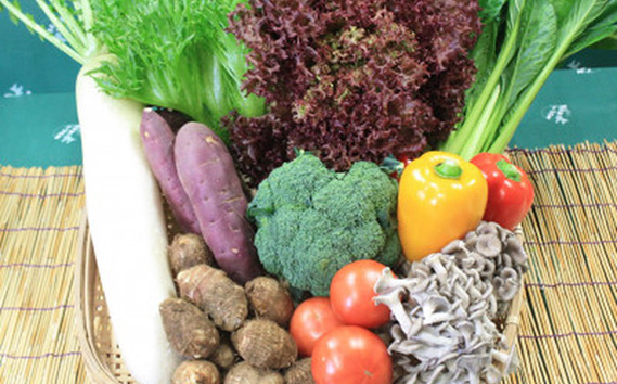 野菜セット10種以上＋米10kg＋古代米バウムクーヘン