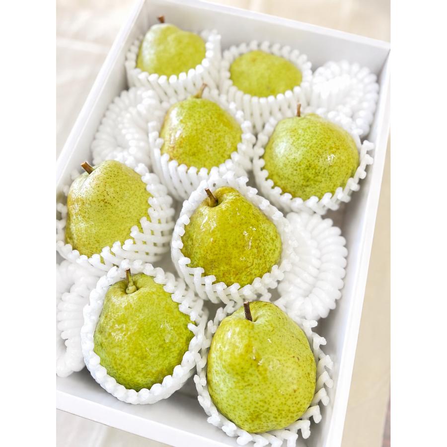 ＜フルーティアファーム　洋梨畑＞長野県産ラフランス2kg