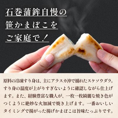 ふるさと納税 石巻市 石巻蒲鉾  全種24個 笹かまとあげかまセット |  | 01