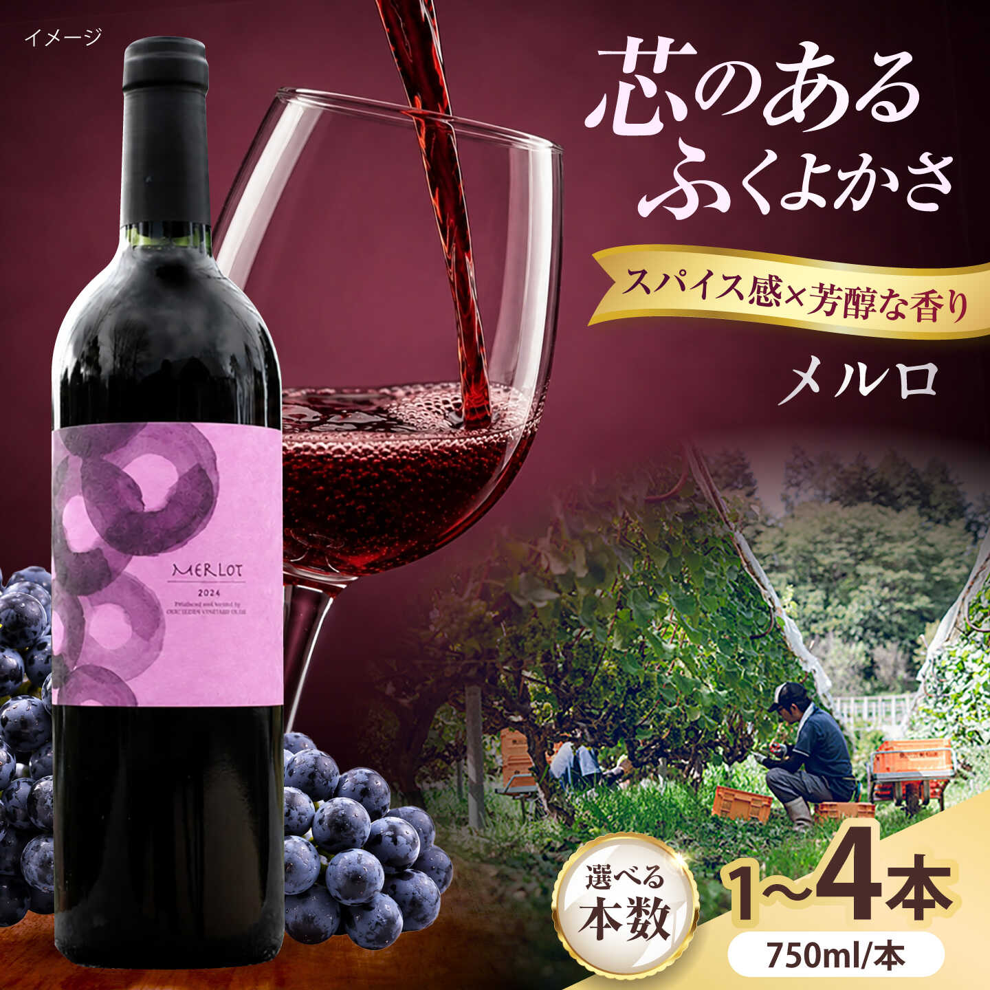 【ふるさと納税】【選べる本数】メルロ 750ml 赤ワイン 国産 島根県雲南市/有限会社奥出雲葡萄園[AICS099]