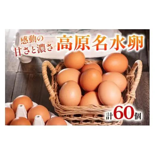 高原名水 卵 60個｜豊かな自然で育ったアスタキサンチン含有の高原名水卵【感動の甘さと濃さ】栃木県 矢板市