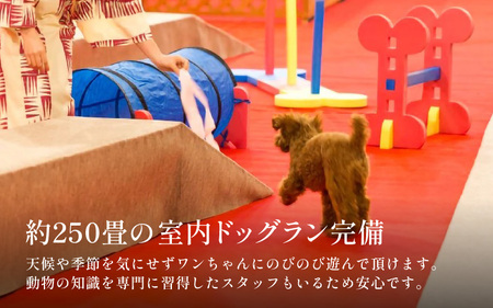 あわら温泉 宿泊利用券I15,000円分 ／ 宿泊券 利用券 旅館 ホテル チケット ペア 観光 旅行 愛犬 ペット可 ドッグラン [aw013-e010]