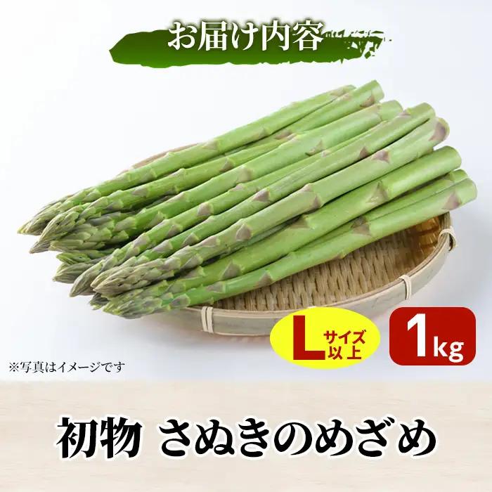 ＜先行予約！2027年2月下旬以降順次発送予定＞初物！アスパラガス さぬきのめざめ(約1kg/Lサイズ以上) 香川県 国産 野菜 アスパラ 新鮮 冷蔵便【man091】【Aglio nero】