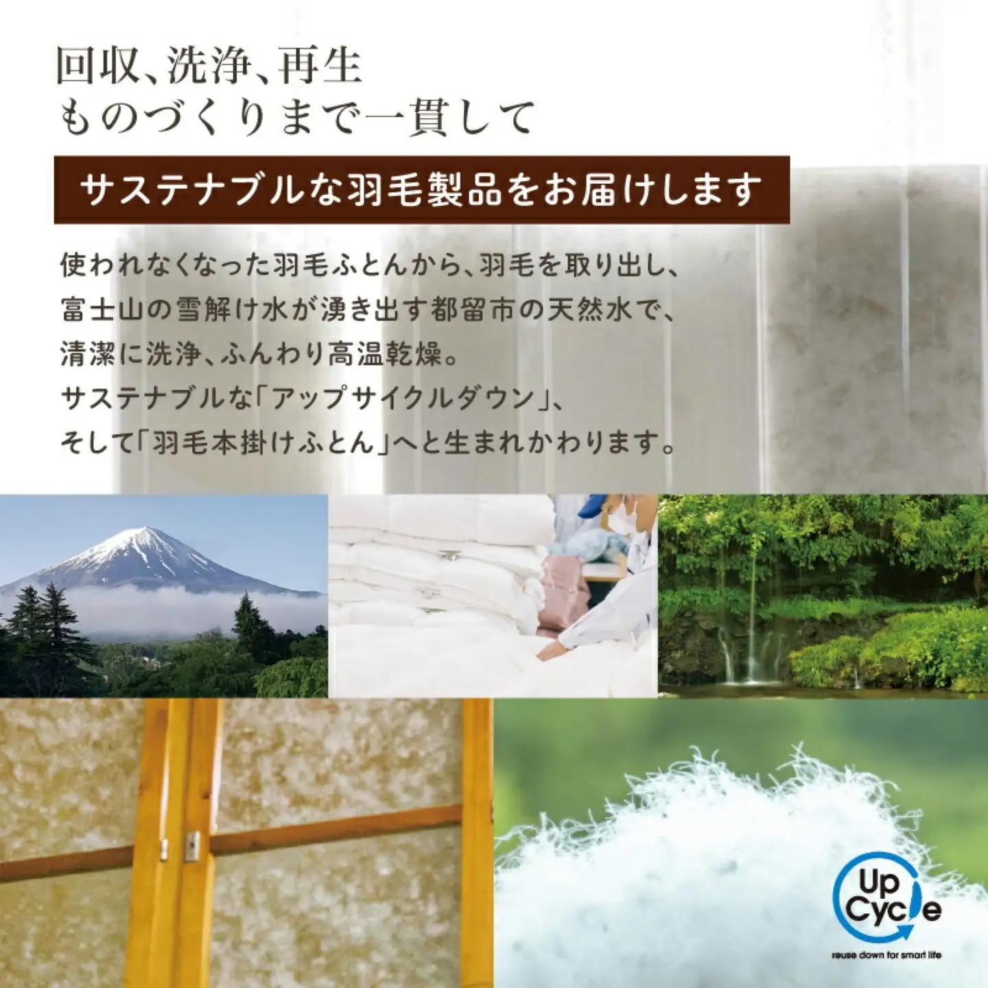 【富士新幸謹製】「サステナブルな羽毛布団」シングル 本掛けふとん［ラーチ］ アップサイクルダウン　本掛け 掛け布団 ふとん 布団 シングル 来客用  羽毛ふとん 羽毛 本掛けふとん　アップサイクルダウ