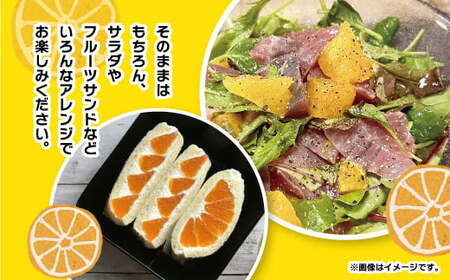 こだわり農家の 秀品 不知火 15玉 （ 大玉 ） 蜜柑 みかん ミカン 果物 フルーツ ギフト 贈り物 プレゼント 柑橘 くだもの 【2027年4月上旬より発送開始予定】