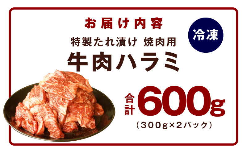 【お試し】牛肉 ハラミ 600g（300g×2P）【氷温熟成×特製ダレ】 mrz0388_イメージ5