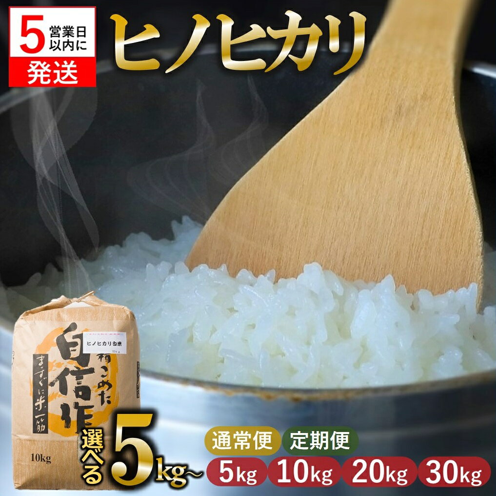 【ふるさと納税】【スピード発送】【定期便】 令和7年産 ヒノヒカリ 新米 白米 選べる容量 5kg 10kg 20kg 30kg 米 お米 兵庫県産 ひのひかり ヒノヒカリ 旨味 もっちり モッチリ 食感 甘い 精米 数量限定