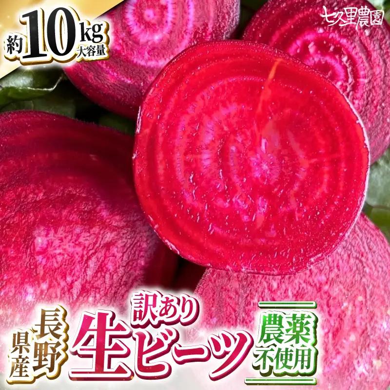 訳あり ビーツ 約10kg｜長野県 飯田市