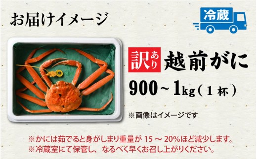 【先行予約】【訳あり】朝茹で越前がに 900g?1kg（足折れ）2月～3月発送「2月上旬より順次発送」[F-065041] / 福井県 福井 オス 雄 ズワイガニ ボイル 冷蔵 越前ガニ 越前がに 越前カニ ずわいがに ずわい蟹 かに カニ 蟹 茹で すがた 姿 わけあり 訳アリ