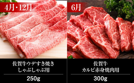 【6回定期便】 A5ランク 佐賀牛 高級 霜降り 食べ比べ 定期便 約2-3人前 総計1.95kg 10万コース “偶数月”発送 /焼肉どすこい [UCC008] 佐賀牛 牛肉 黒毛和牛 佐賀牛ステー