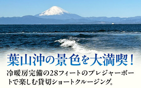 ショートチャータークルージング チケット 6名分【株式会社ユニマットプレシャス】[AKBZ016]