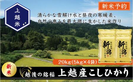 令和7年産 先行予約 新潟県上越産こしひかり 精米 20kg 上越市 米 コメ コシヒカリ